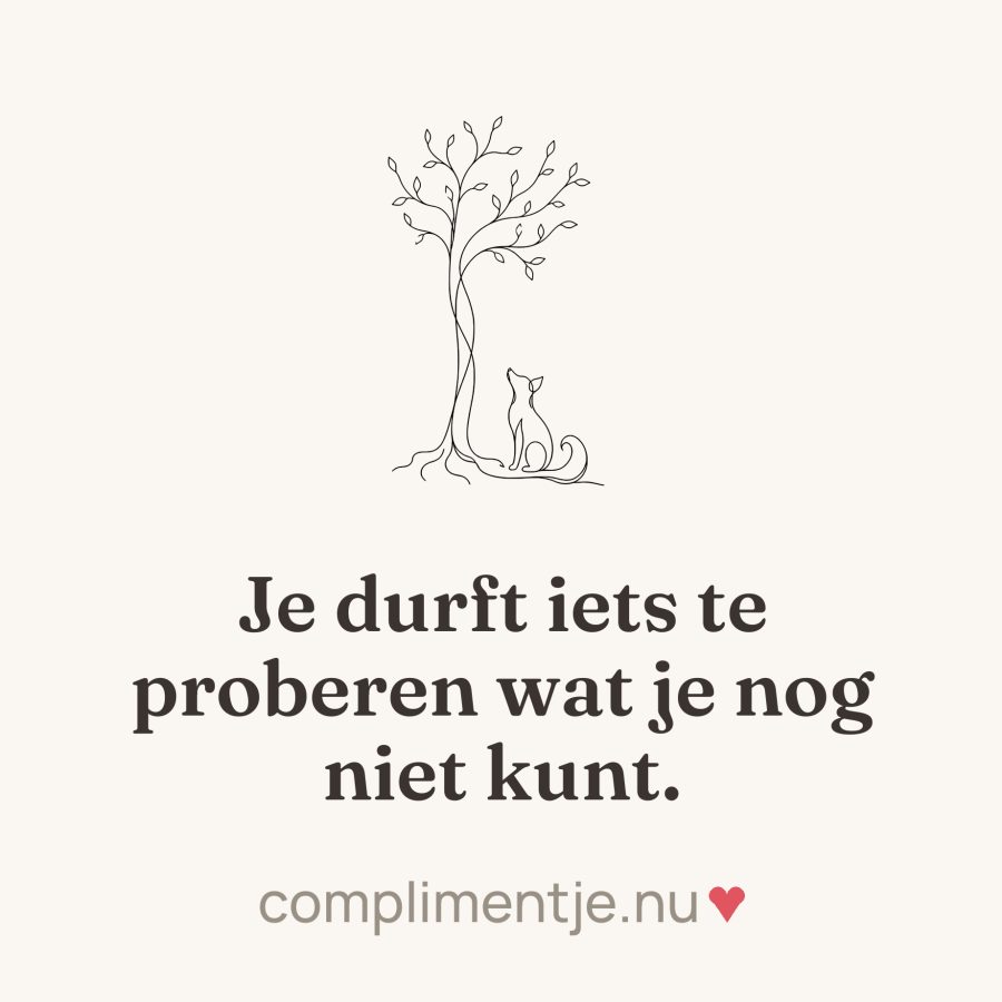 Tile with your words: Je durft iets te proberen wat je nog niet kunt.